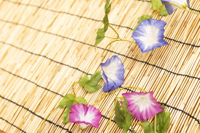 yugao flower